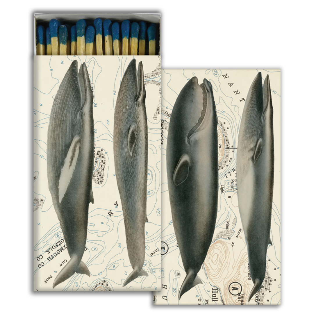 Whale - Matches
