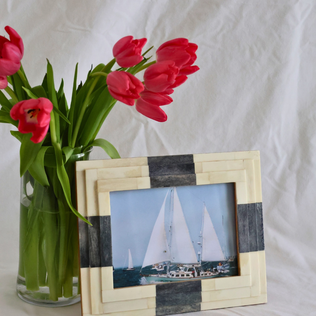 Cream & Navy Shell Frame